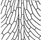 bilateral-trama